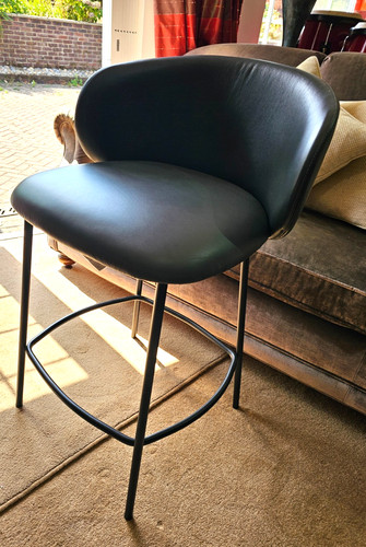 Connubia calligaris - connubia,